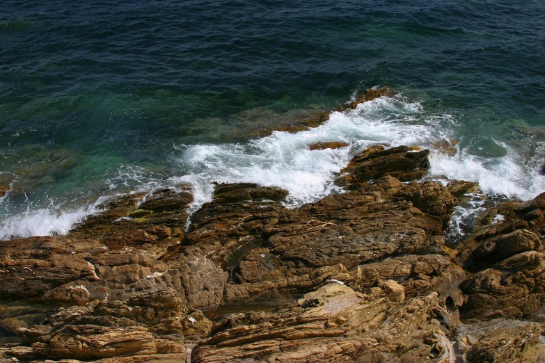 there is soing in the water that appears to be ocean