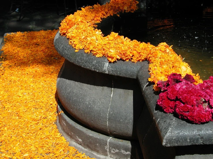 some flowers and a yellow froth on the floor