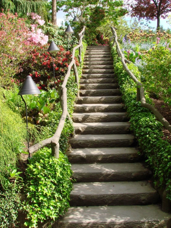 a bunch of steps lead down to a light house