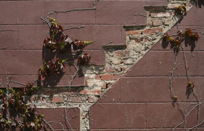 a red brick wall with vines growing in it