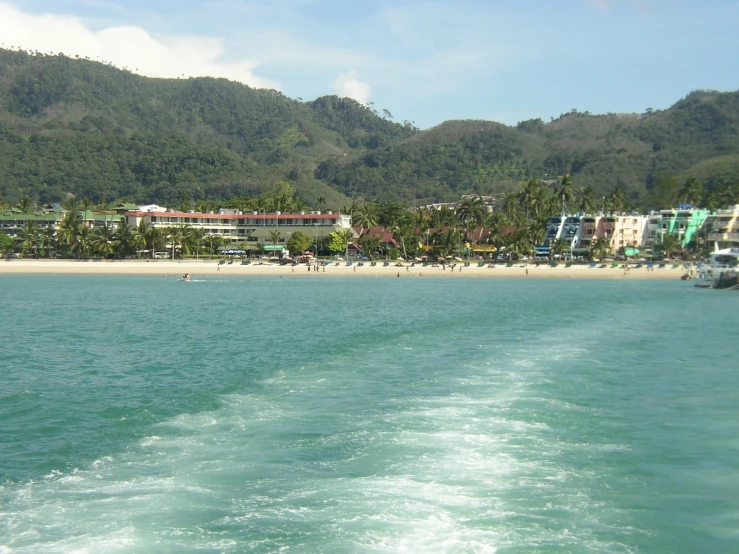 an image of a tropical beach setting with ocean water