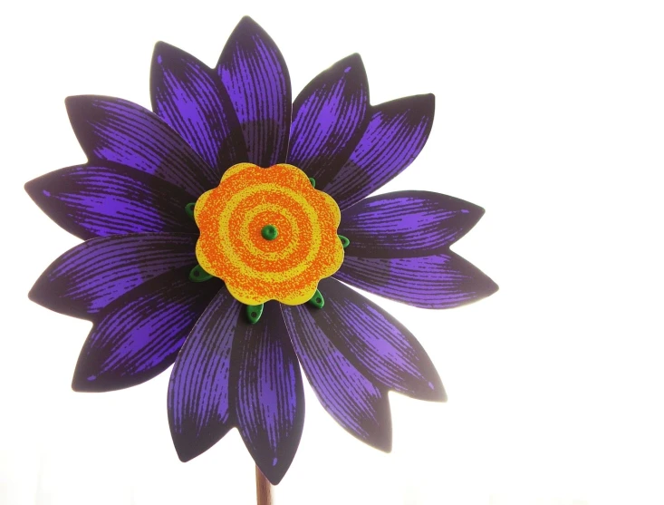 purple flower with an orange center sitting in front of a white wall