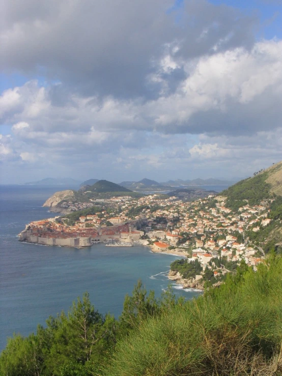 a hillside on the side of the water