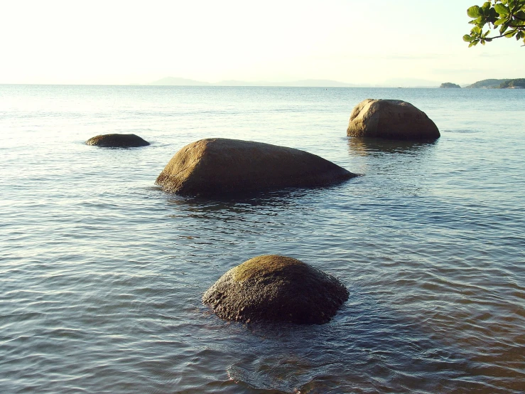 rocks in the water with a beach in the background