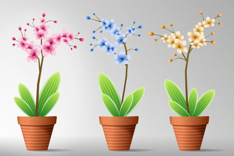 four colorful pots containing small plants with flowers