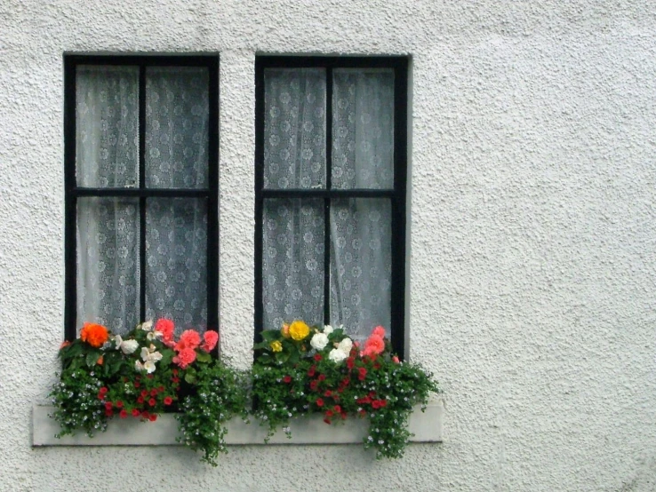 two window boxes with flowers are next to each other