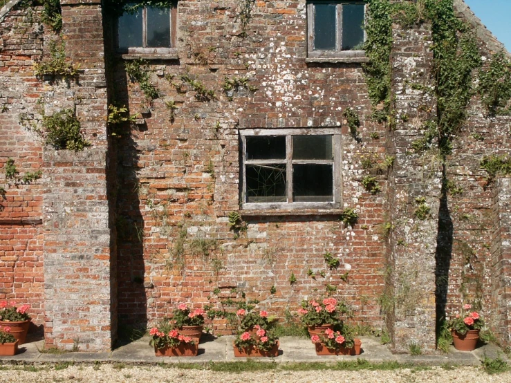 plants in front of an old brick building