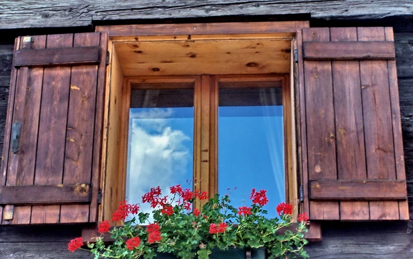 some red flowers are by a window with wooden shutters