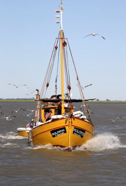 yellow sailboat sailing across water surrounded by seagulls