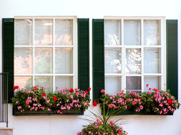 flowers on a building with green shutters and shutters