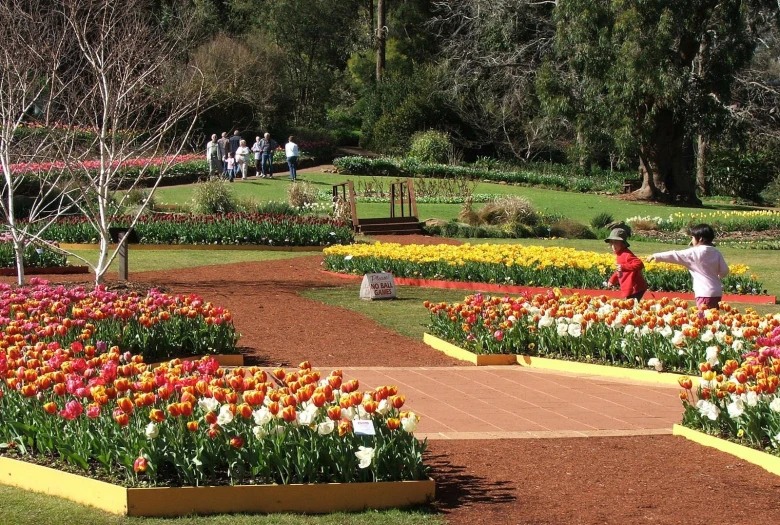 a flower garden with flowers in the middle and people walking on the other side