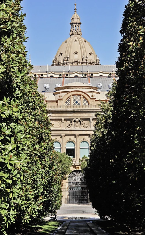 a view of a church from the trees