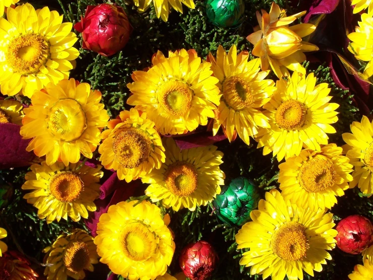 a group of fake flowers surrounding a chocolate - covered egg