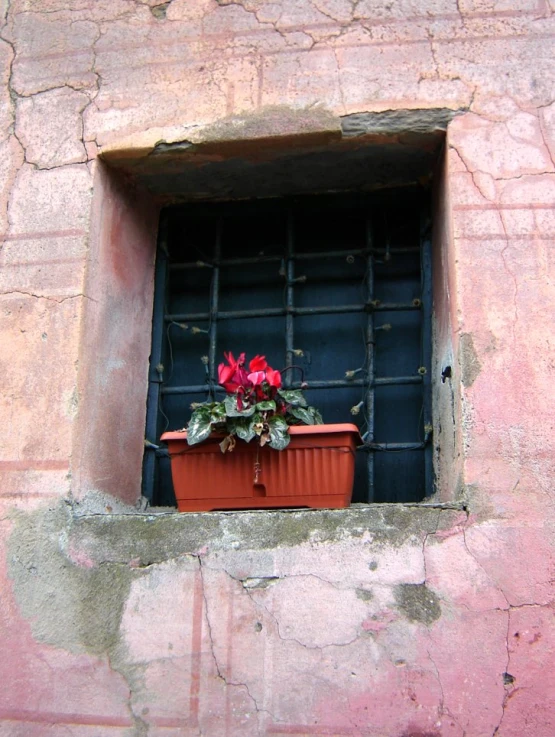 a flower pot in an open window on a pink building