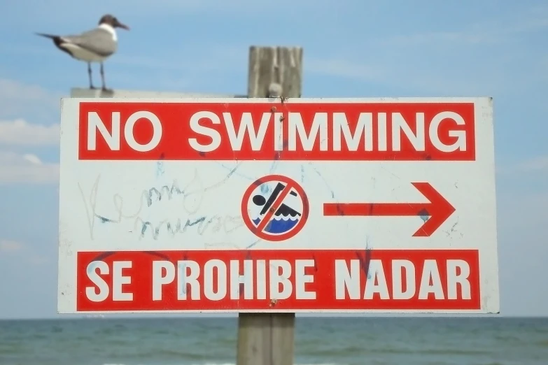 a red and white sign on the shore says no swimming