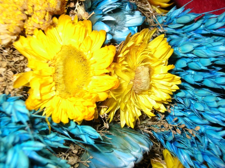 some very pretty flowers with feathers in them