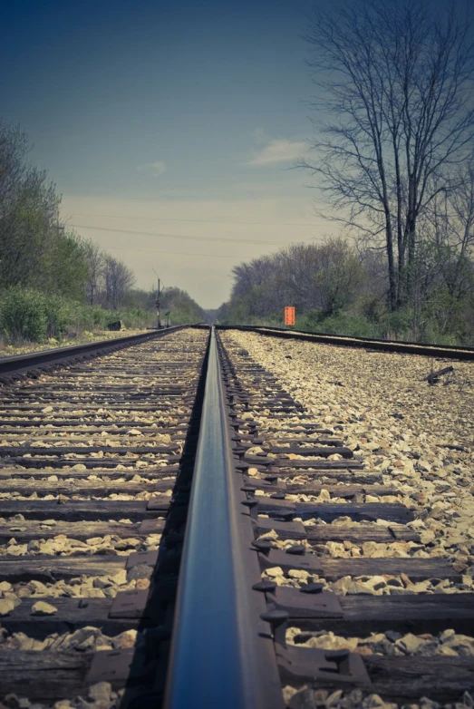 there is a railroad track between some trees