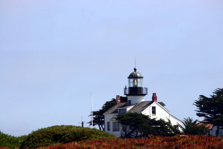 a lighthouse stands in a coastal setting near a tree