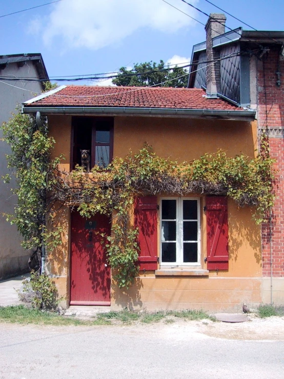 red doored brick house with ivy growing over the side of it