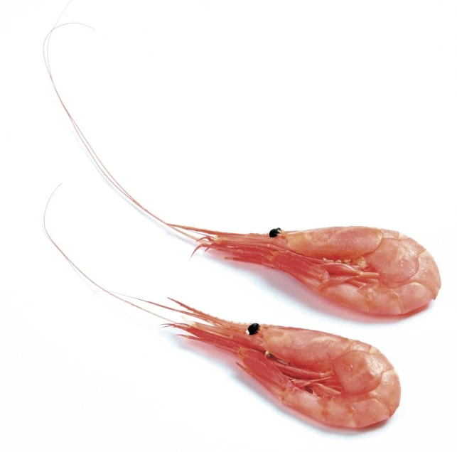 two red shrimps are on a white surface