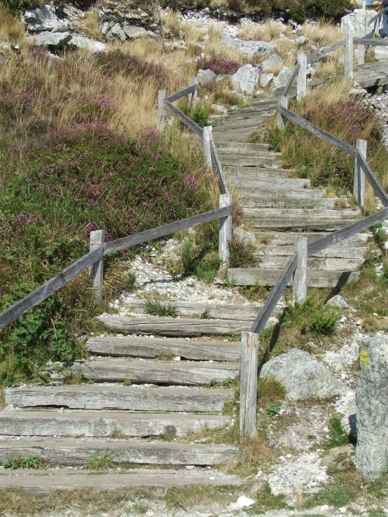 wooden stairways made of planks going up a slope