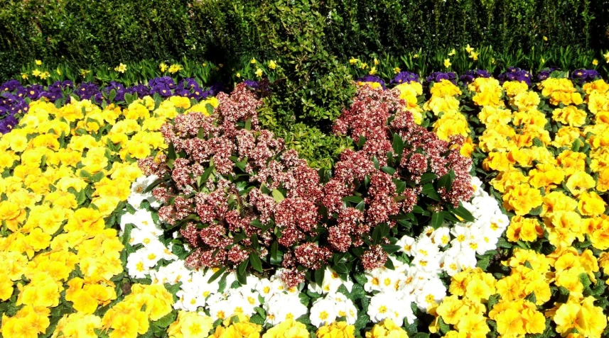 colorful flowers arranged in the shape of heart