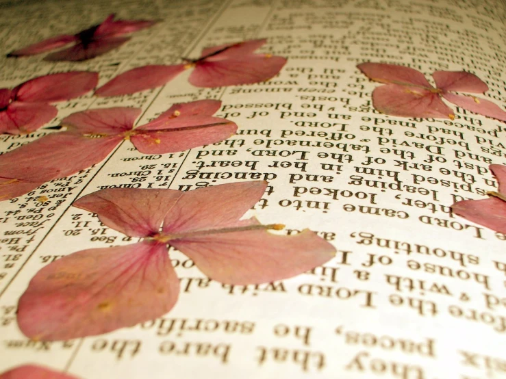 pressed paper flowers placed on a book pages