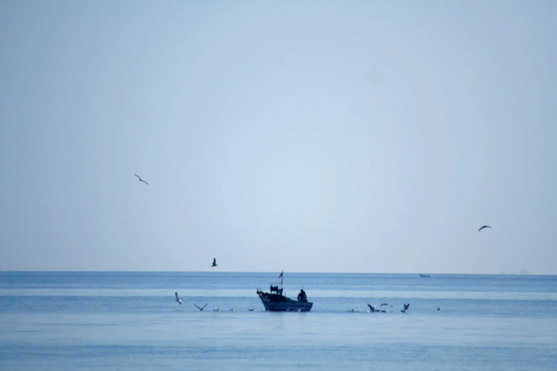 a blue boat on the water in front of birds