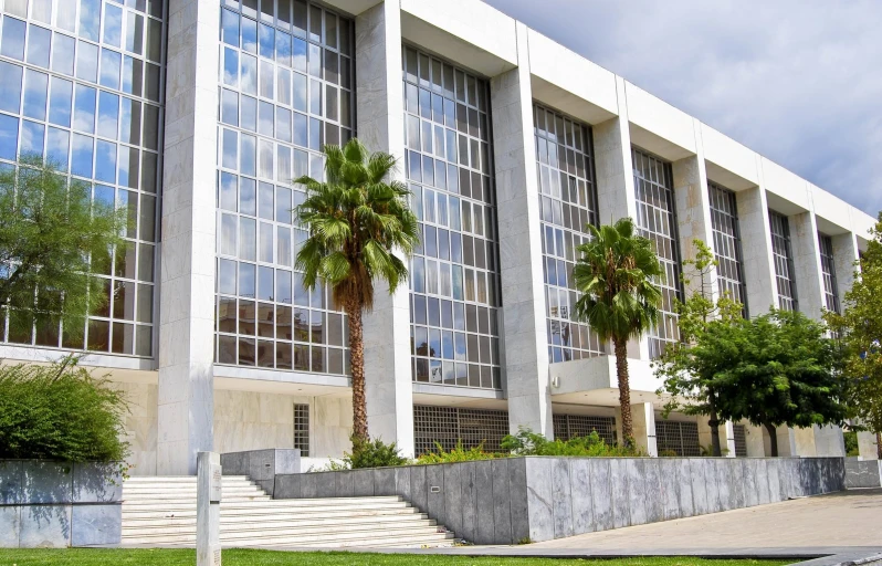 palm trees against windows in front of large building