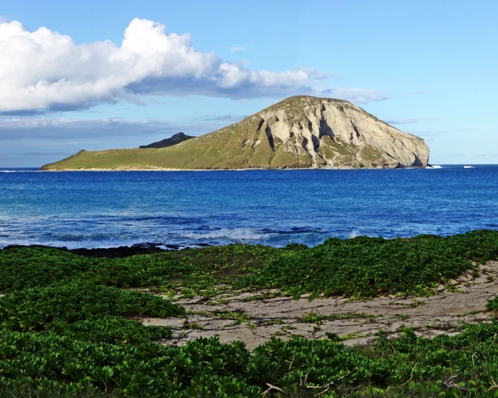 a large body of water next to a grassy shore