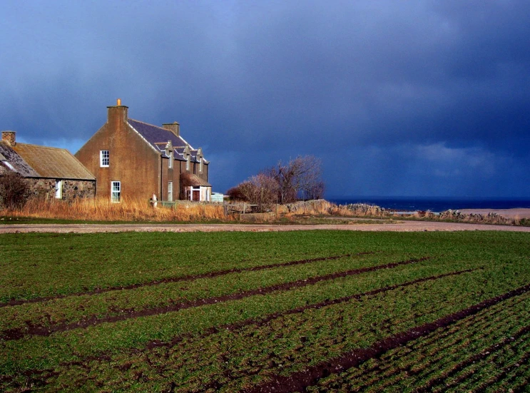 a big field with green grass and some houses