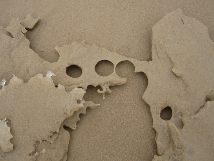 some very pretty circles and holes in the sand