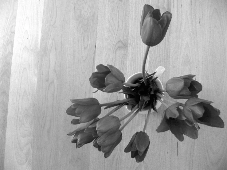 an up close view of the stems of flowers