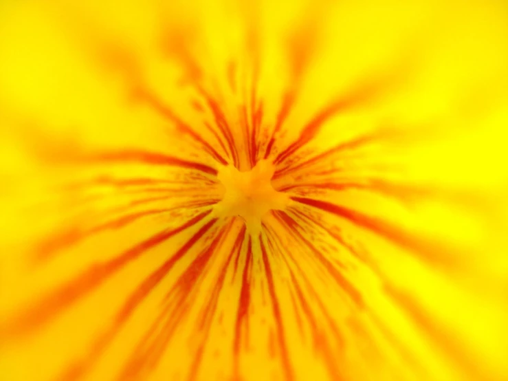 an extreme - close up view of a yellow and red swirl