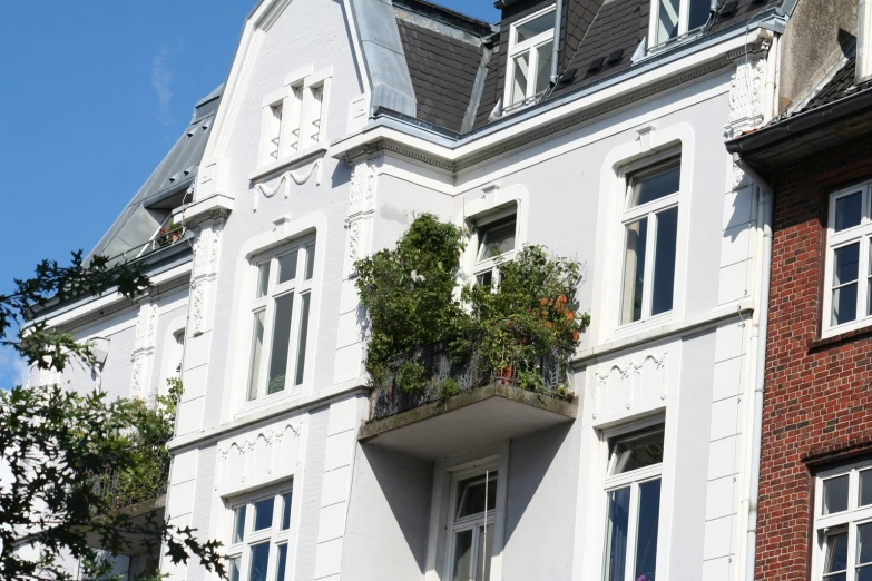 two buildings each have plants growing out of windows