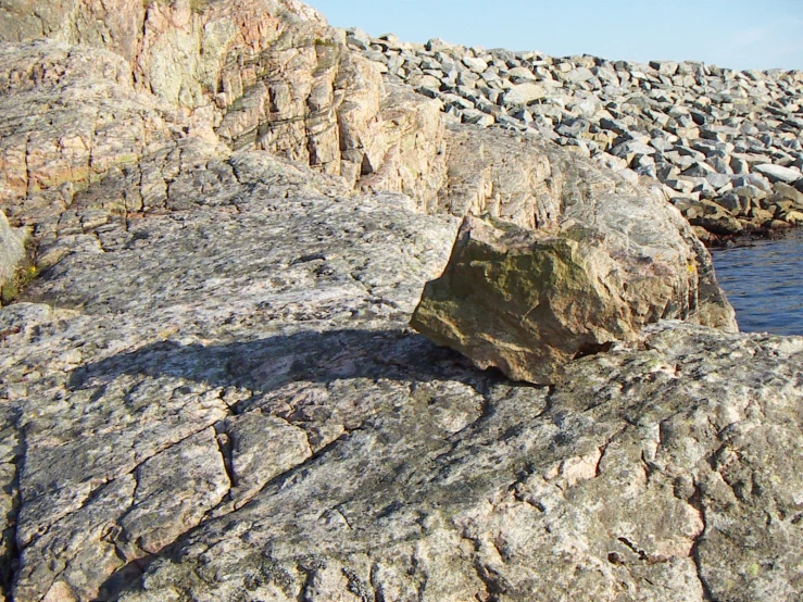 there is a rock with a bird sitting on top of it