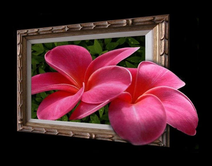 pink flowers are sitting in front of a framed po