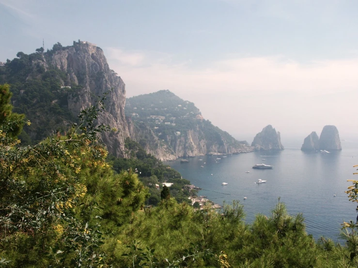 boats out on the water near cliffs and forest