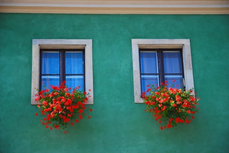 red flowers in the window boxes on the green wall