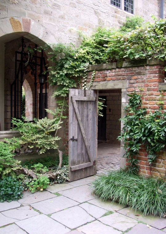 an image of an outdoor courtyard with vines