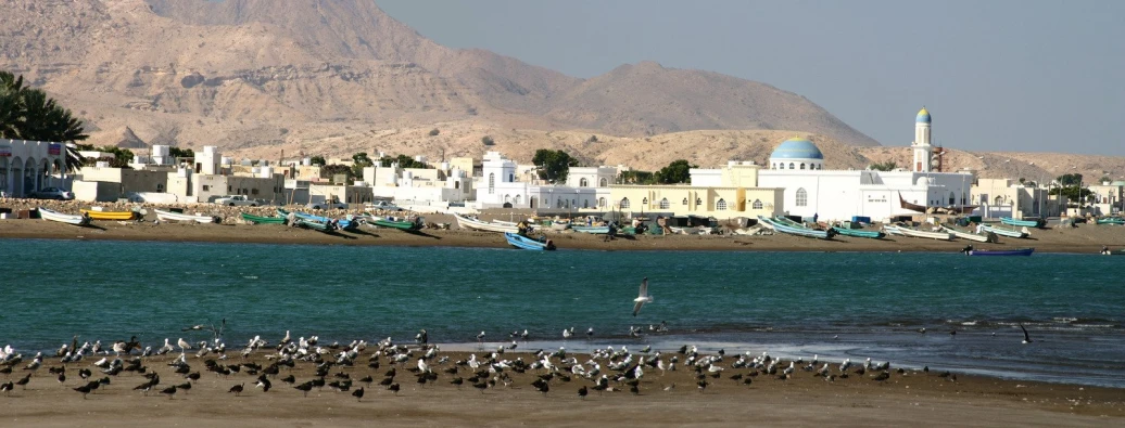 there is a group of birds standing by the water