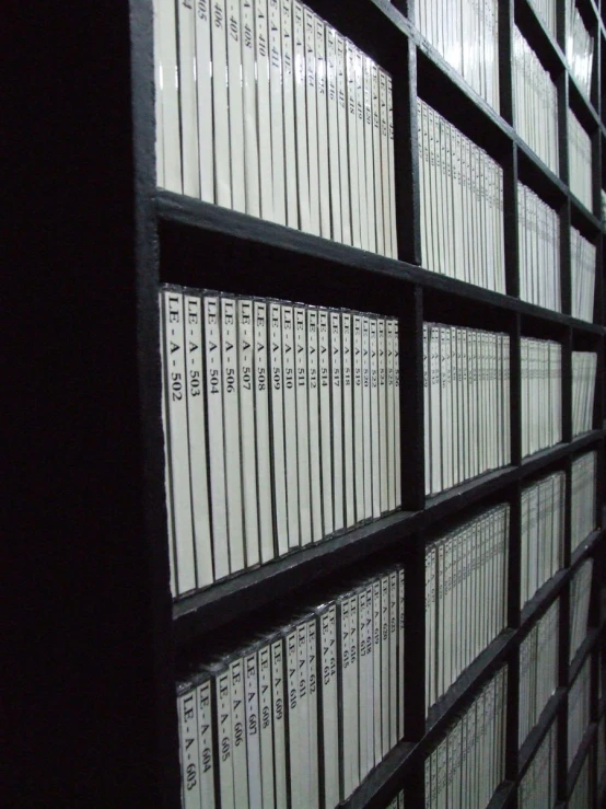 several files on a shelves with black and white shelves