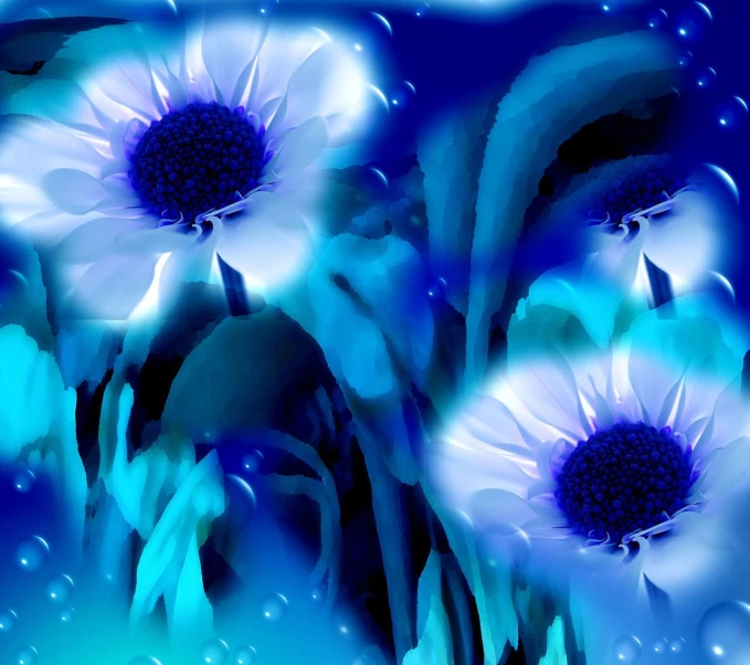 a group of three blue and white flowers