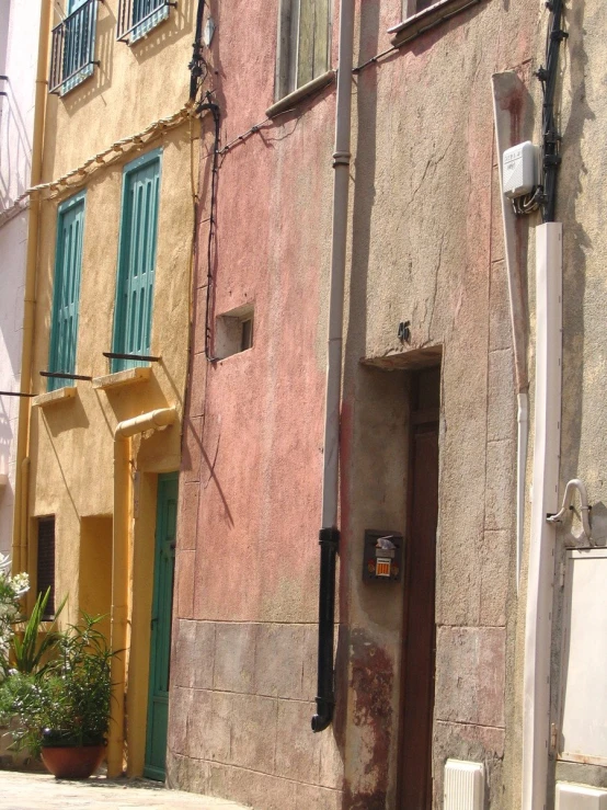 a cat walks in between two buildings with green shutters