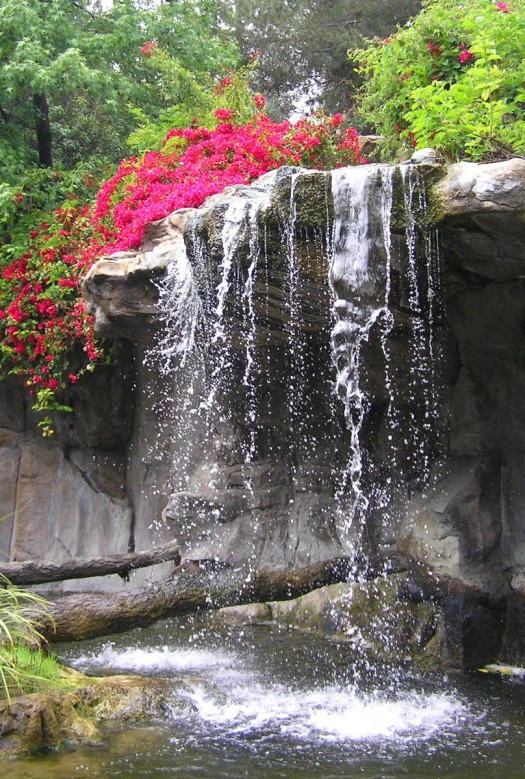 a waterfall surrounded by lots of flowers in the park