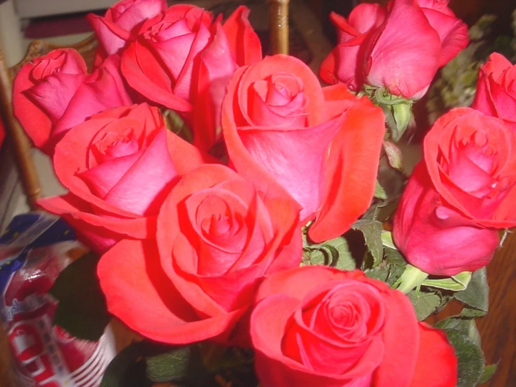 many red roses in a vase with water and a can