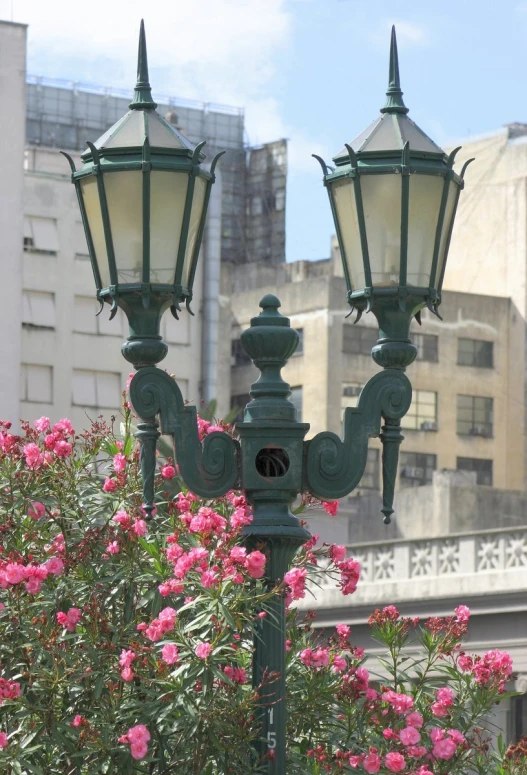 a green light post with flowers around it