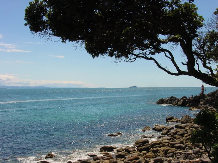 the person is standing on the rocks by the water