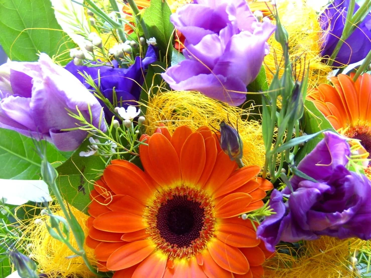 an arrangement of flowers on display in a vase