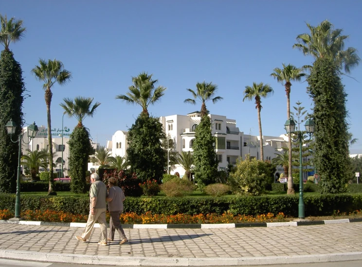 two people walk down the sidewalk near some palm trees